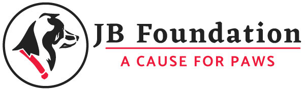 JB Foundation, Animal Rescue, Aizawl, Mizoram